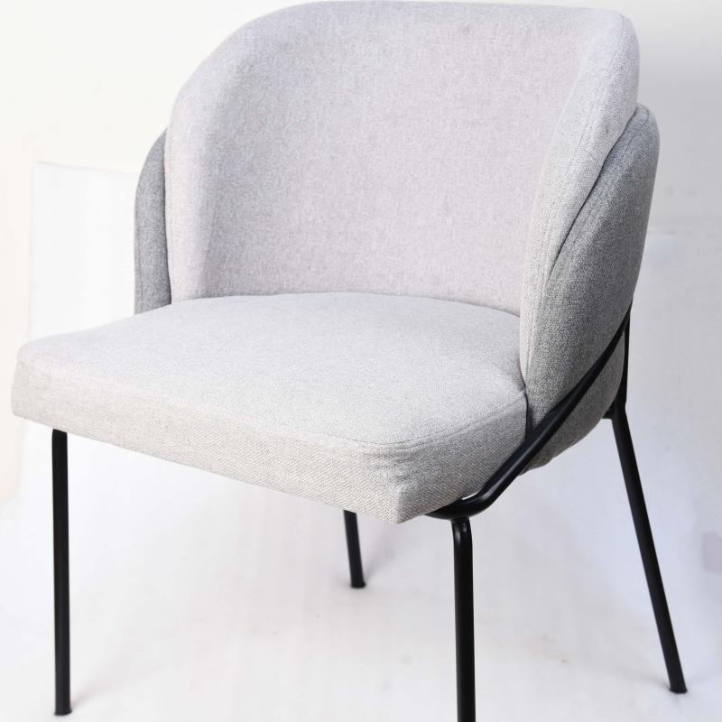 Modern design chair with metal frame